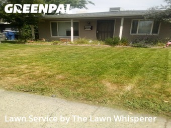 Lawn Cut nearby Sacramento, CA, 
