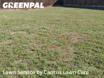 Lawn Cutting nearby San Antonio, TX, 