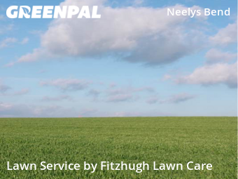 Grass Cutting nearby Nashville, TN, 