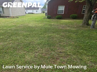 Lawn Cut nearby Murfreesboro, TN, 