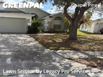 Lawn Maintenance nearby Wesley Chapel, FL, 