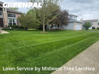 Lawn Mow nearby Bolingbrook, IL, 