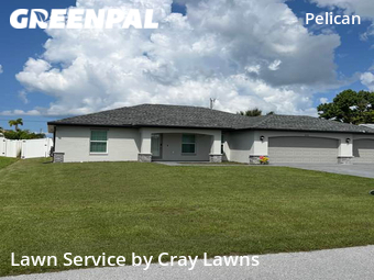Grass Cut nearby Cape Coral, FL, 