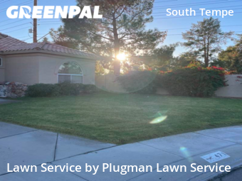 Lawn mowed in Tempe, 85284