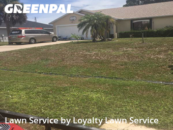 Grass Cut nearby Port St. Lucie, FL, 