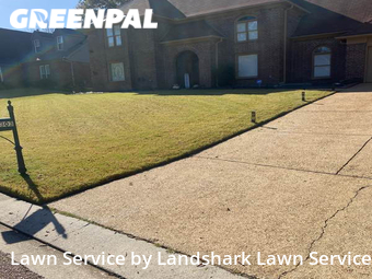 Yard Cutting nearby Memphis, MS, 