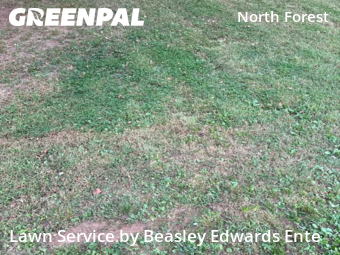 Lawn Care nearby Raleigh, NC, 