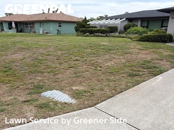 Lawn Cut nearby Port Charlotte, FL, 