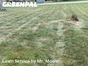 Lawn Cutting nearby Springfield, OH, 