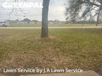 Commercial Landscaping In Pasadena,77504,Landscaping Cleanup by J.A Lawn Service, work completed in Feb , 2026