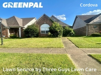 Grass Cut nearby Memphis, TN, 