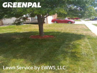 Lawn Mowing nearby Colorado Springs, CO, 