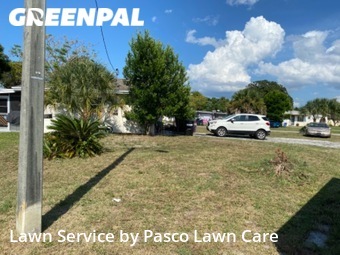 Lawn Mow nearby Port Richey, FL, 