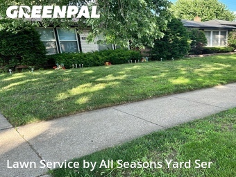 Grass Cut nearby Dolton, IL, 