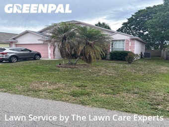 Grass Cut nearby Winter Haven, FL, 