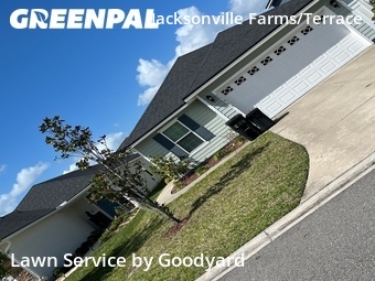 Grass Cut nearby Jacksonville, FL, 
