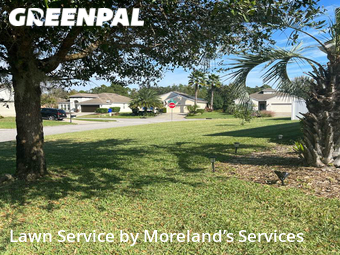 Yard Cutting nearby St. Augustine, FL, 