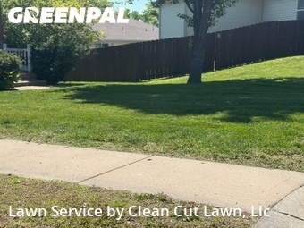 Lawn Cut nearby Blue Springs, MO, 