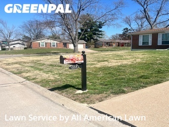 Grass Cut nearby St. Louis, MO, 