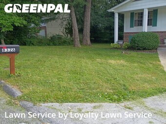 Grass Cutting nearby Ooltewah, TN, 