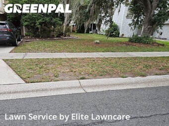 Lawn Cutting nearby Tampa, FL, 