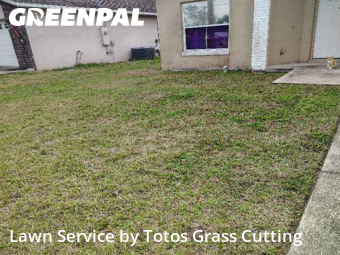 Lawn Cuttingin Apopka,32703,Lawn Mowing Service by Totos Grass Cutting, work completed in Feb , 2026