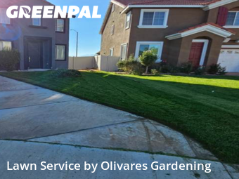 Work completed by grass-trimming-service-in-Palmdale-CA