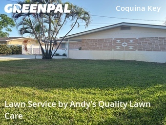 Lawn Mowing Service nearby St. Petersburg, FL, 