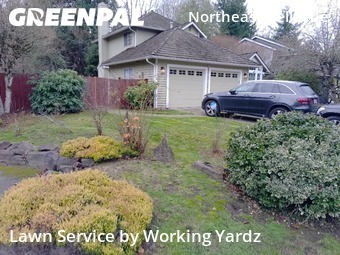 Lawn Care Servicein Bellevue,98008,Lawn Mowing by Working Yardz, work completed in Dec , 2025