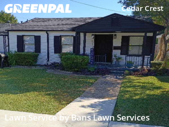 Grass Cut nearby Dallas, TX, 