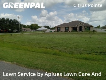 Lawn Cutting nearby Mims, FL, 