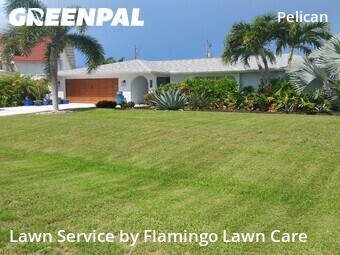 Lawn Service nearby Cape Coral, FL, 