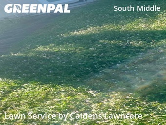 Lawn Mowing Servicein Fort Lauderdale,33311,Lawn Mowing by Caidens Lawncare , work completed in Jan , 2026