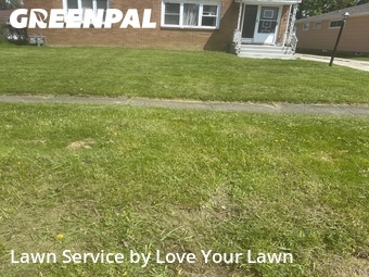 Lawn Mow nearby Buffalo, NY, 