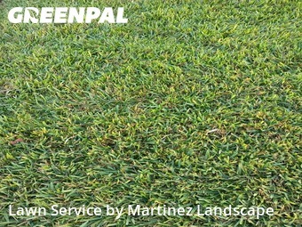 Garden Trimming in Groveland, 34736, Yard Grooming by Martinez Landscape, work completed in Dec , 2025