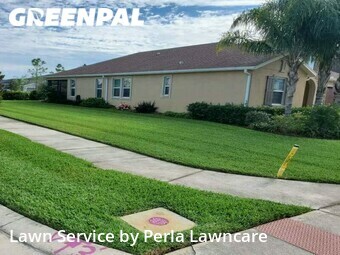 Grass Cut nearby Zephyrhills, FL, 