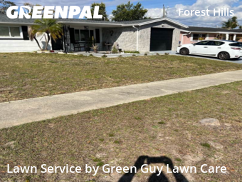 Lawn Cut nearby Holiday, FL, 