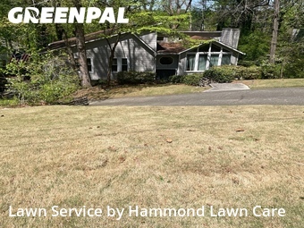 Lawn Cutting nearby Roswell, GA, 