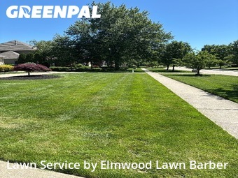 Lawn Care Service nearby Avon, OH, 