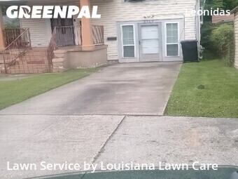 Lawn Mow nearby New Orleans, LA, 