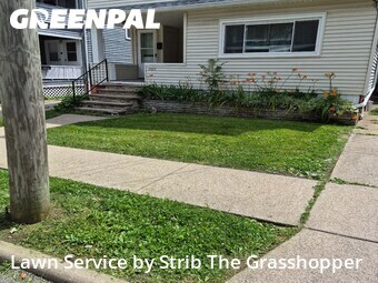 Grass Cutin Lakewood,44107,Lawn Maintenance by Strib The Grasshopper, work completed in Jun , 2026
