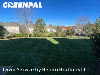 Grass Cut nearby Cary, NC, 