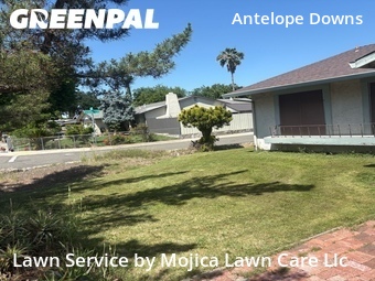 Lawn mowing work completed in Citrus Heights, CA