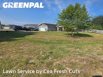 Lawn Mow nearby Ocala, FL, 