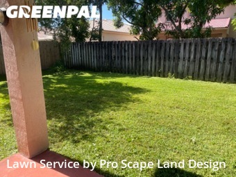 Grass Cut nearby Davie, FL, 