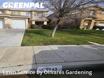 Landscaping Cleanup In Palmdale,93551,Landscaping Cleanup by Olivares Gardening , work completed in Feb , 2026