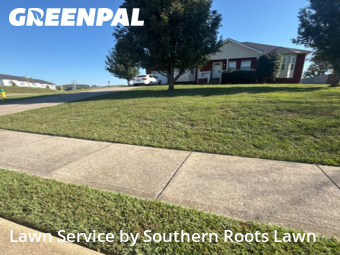 Grass Cuttingin Lebanon,37090,Grass Cutting by Southern Roots Lawn, work completed in Dec , 2025