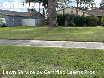 Grass Cut nearby Port Orange, FL, 