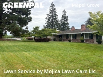 Work completed by cheap-lawn-cutting-businesses-in-Carmichael-CA