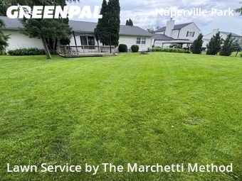 Yard Cutting nearby Naperville, IL, 